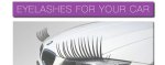 <b>Weird of the Day: Carlashes</b>