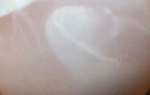 <b>Guess What #2: It's A …</b>
