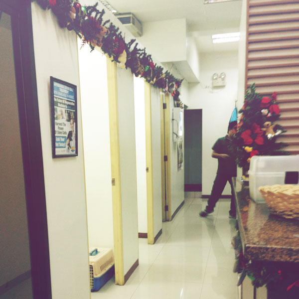 vets-in-practice-alabang-04