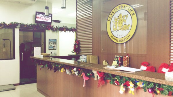 vets-in-practice-alabang-ggm