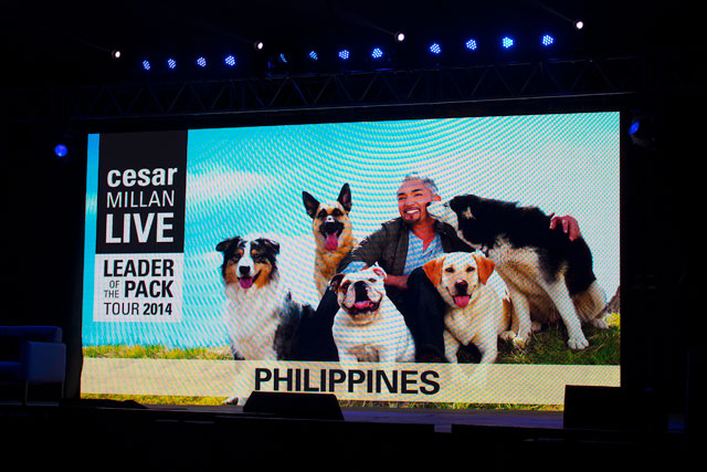 Cesar-Millan-Manila_03