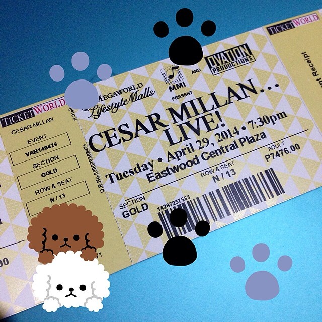 Cesar-Millan-Manila_16