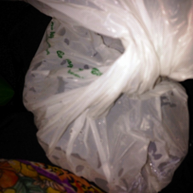 Cesar-Millan-Manila_18