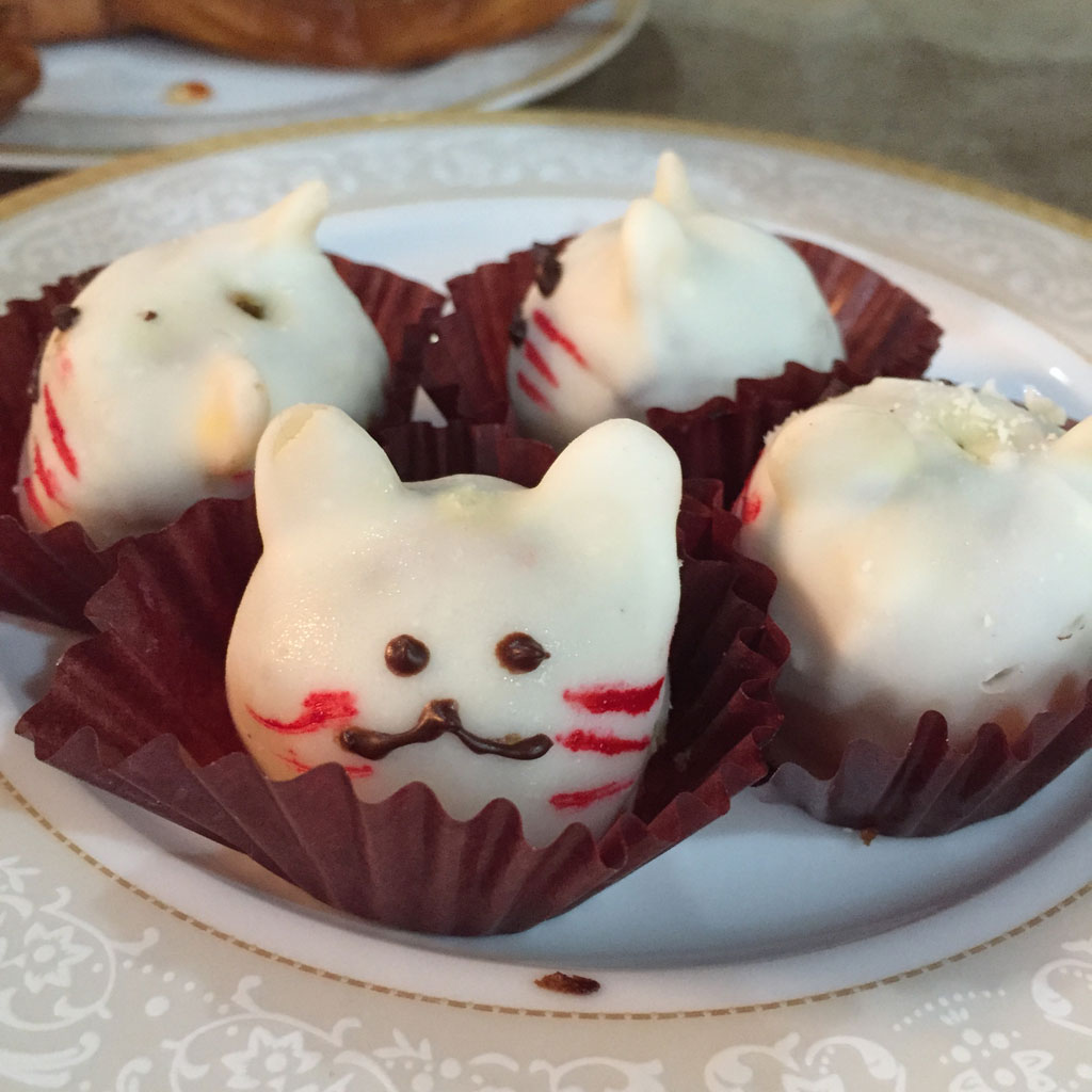 Cat-Crafternoon-Purina-Fancy-Feast_11